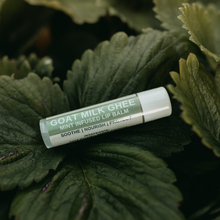 Load image into Gallery viewer, Goat Milk Ghee - Mint Infused Lip Balm *New*